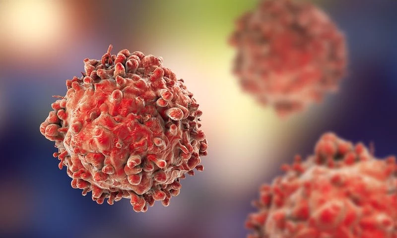 Όλα τα νεότερα για την λευχαιμία – Στις 14 Νοεμβρίου ενημερωτική εκδήλωση με ελεύθερη είσοδο